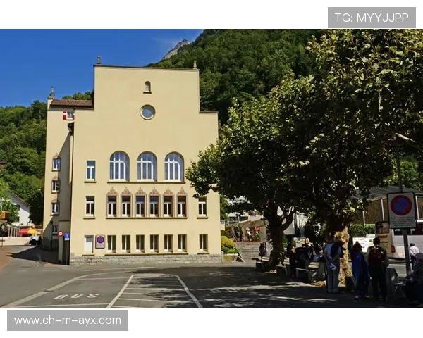 列支敦士登遇强劲对手,晋级泡影,列支敦士登值得去吗