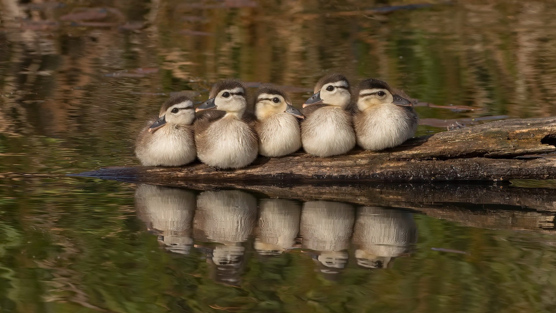 后程冲刺表现对比分析,前后冲刺