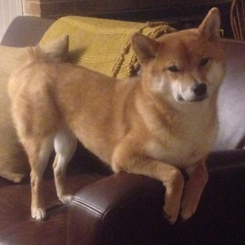 图赫尔强调团队配合,造就胜利,图赫尔助教团队