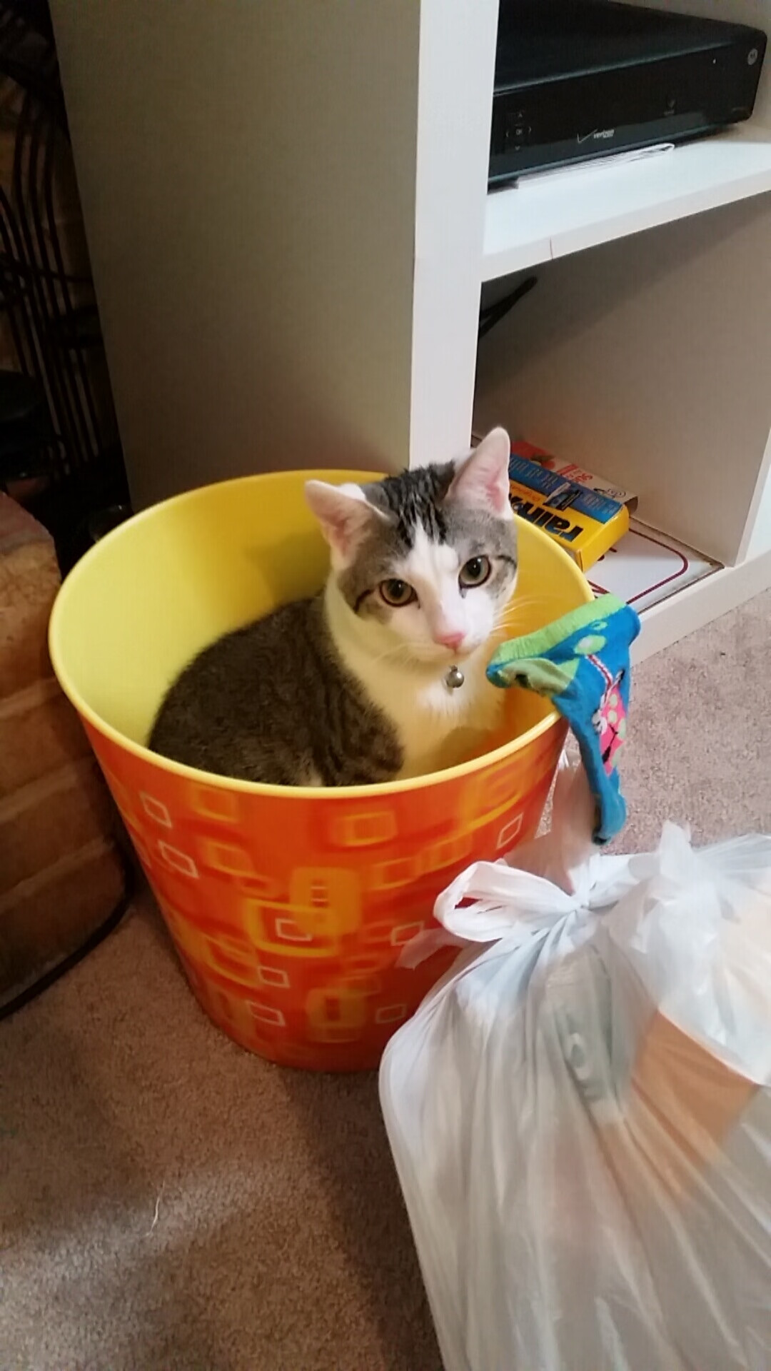 -拉文空接暴扣点燃主场氛围，拉文实战360度扣篮