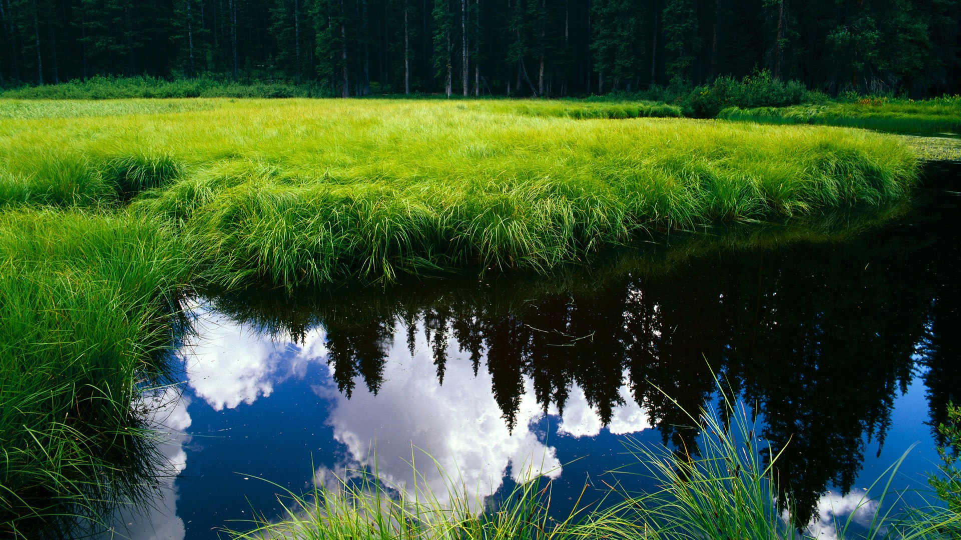 爱游戏体育-詹姆斯三双数据带领湖人稳住排名，詹姆斯湖人三双次数