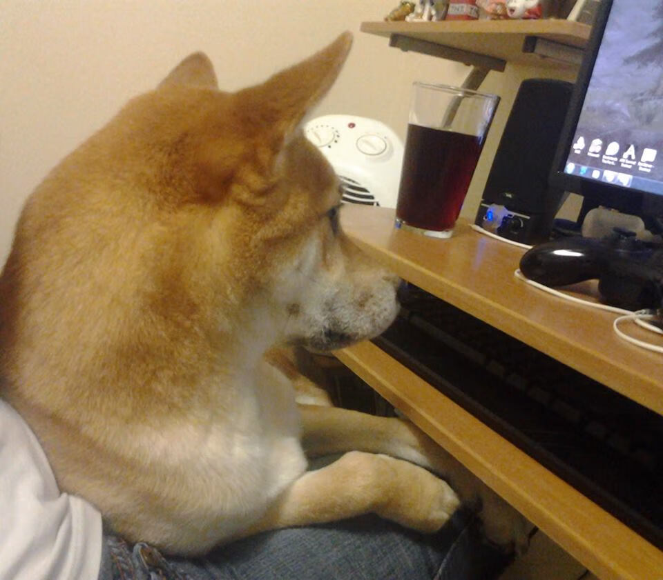 爱游戏下载-诺埃·庞蒂冲刺力十足挑战极限，庞蒂克fiero