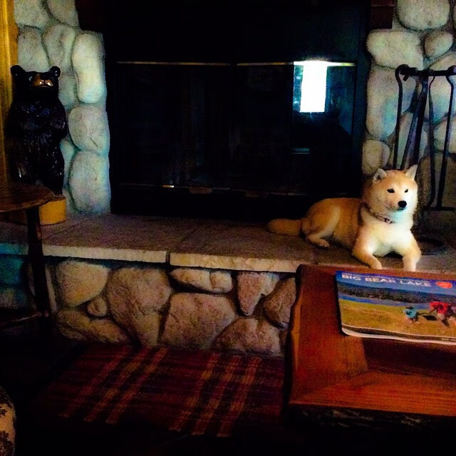 -9月16-17日足球赛程深度剖析，9月19日足球