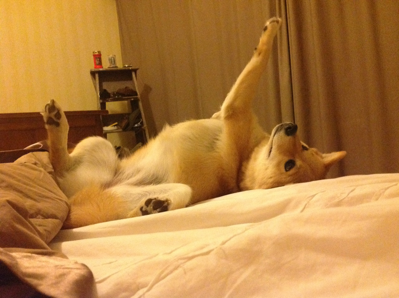 五大联赛数据榜单揭示真实实力，五大联赛水平排行